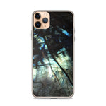 Labradorite iPhone Case