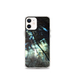 Labradorite iPhone Case