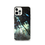 Labradorite iPhone Case