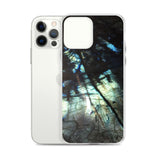 Labradorite iPhone Case