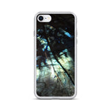 Labradorite iPhone Case