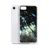 Labradorite iPhone Case