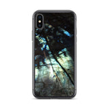 Labradorite iPhone Case