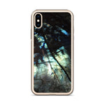 Labradorite iPhone Case