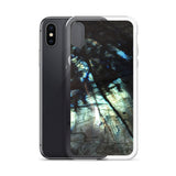 Labradorite iPhone Case