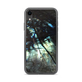 Labradorite iPhone Case