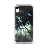 Labradorite iPhone Case