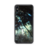 Labradorite iPhone Case